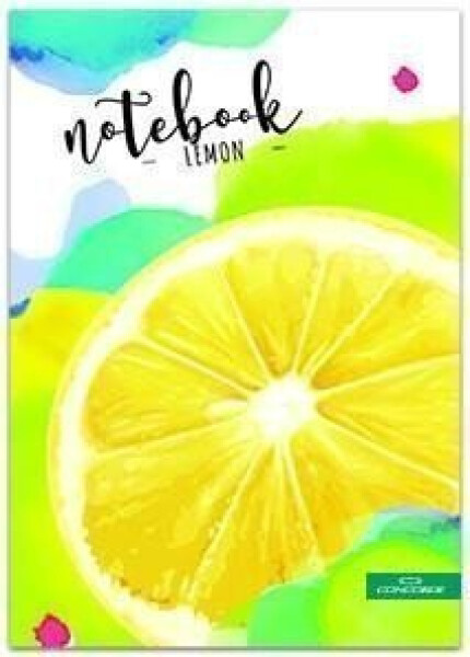 Concorde Záznamní kniha A5 čistá, listů