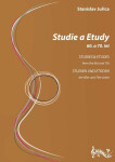 Studie Etudy
