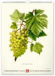 Nástěnný kalendář 2027 Notique Vintage herbář, 33 × 46 cm