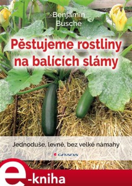 Pěstujeme rostliny na balících slámy. Jednoduše, levně, bez velké námahy - Benjamin Busche e-kniha