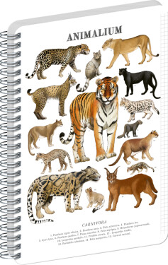 Spirálový blok Animalium - Kočkovité šelmy, čtverečkovaný, A5