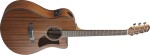 Ibanez AAM54CE Natural (rozbalené)