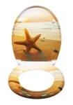 Schütte SEA STAR | Duroplast, Soft Close 4008431823737