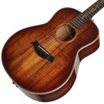 Taylor GT K21e