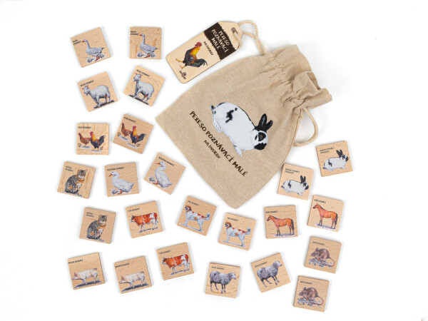 Pexeso Poznávacie Malé - Na dvore SK