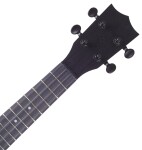 Flight NUS 310 Blackbird Natural