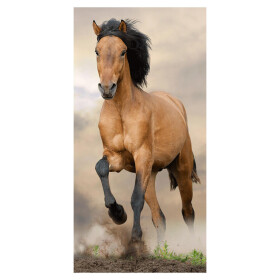 Osuška Kůň Brown 70 x 140 cm