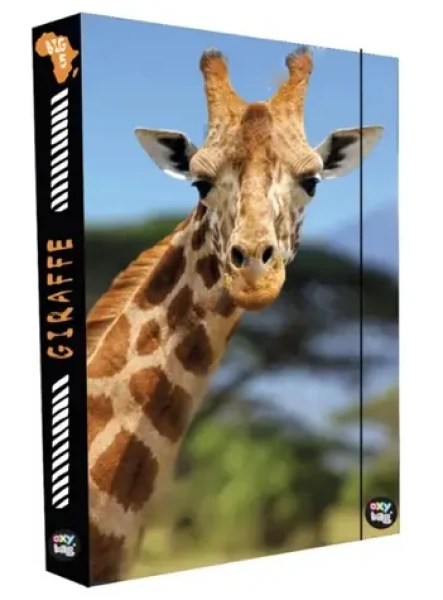 OXYBAG Box na sešity A4 Jumbo Žirafa (1-43623)