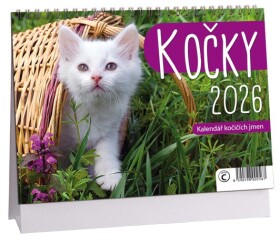 Stolní kalendář ARIA 2026 - Kočky