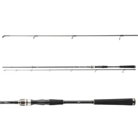 Daiwa Prut Exceler Spin 2,4m 10-40g (11662-240)