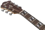 Ibanez AE170R Natural