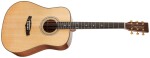Tanglewood TW15 H E