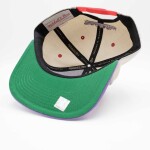 Mitchell & Ness Pánská kšiltovka Toronto Raptors NBA Pop Panel Snapback