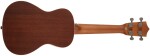 Bamboo U-23 TERRA-S