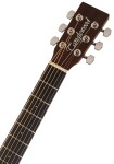 Tanglewood TWCR D E