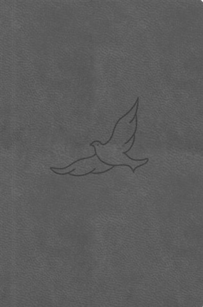 Bible21 – kapesní