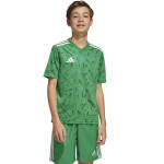 Adidas Team Icon 25 JSY Jr Tričko JJ1956 164 cm