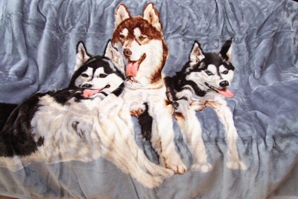 Domtextilu Šedá deka s motivem husky Šířka: 160 cm | Délka: 210 cm Šířka: 160 cm | Délka: 210 cm