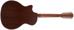 Taylor 354ce
