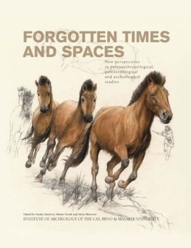 Forgotten Times and Spaces: and