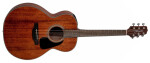 Takamine GLN11E - Natural Satin