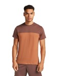 ICEBREAKER Mens Mer Cool-Lite Sphere III SS T Colour, Dusty Clay/Carob/Cb (vzorek) velikost: M