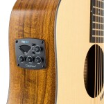 Tanglewood TM5CE