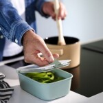 Mepal Dóza na potraviny EasyClip Nordic Sage 700 ml, zelená barva, plast