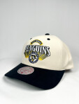 Mitchell & Ness Pánská kšiltovka Pittsburgh Penguins NHL Horizon Pro Snapback Vntg