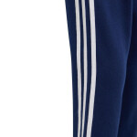 Kalhoty adidas Tiro 24 Sweat Jr IS1008