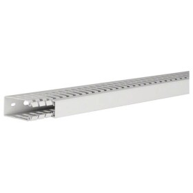 Hager HA760025 vodicí lišta (d x š x v) 2 m x 25 mm x 60 mm 2 m šedá
