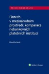 Fintech v mezinárodním prostředí