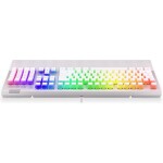 Endorfy Omnis OWH Kailh BR RGB EY5A035