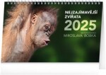 Kalendář 2025 stolní: Nejzajímavější zvířata,