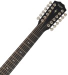 Taylor 354ce