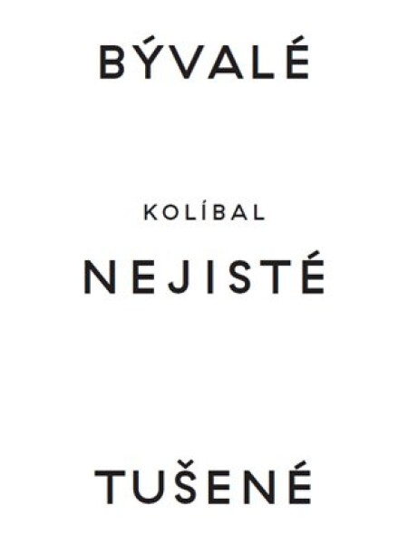 Bývalé nejisté tušené - Stanislav Kolíbal