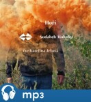 Hoří Sudabeh Mohafez