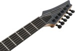 Ibanez RGR5121RB-GRF