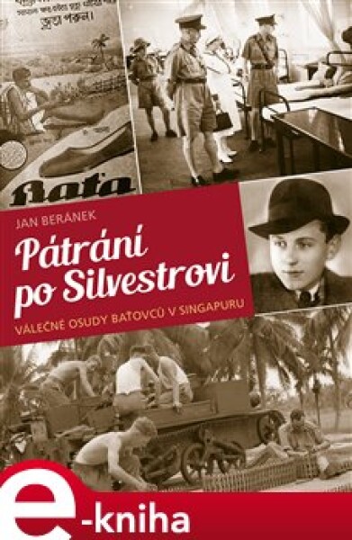 Pátrání po Silvestrovi - Jan Beránek