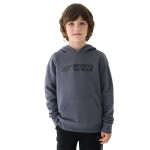 Mikina 4F M1223 Jr 4FJWAW24TSWSM1223-22S 134