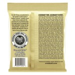 Ernie Ball 2005 Earthwood Custom Medium 80/20 Bronze