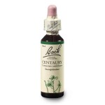 Zeměžluč lékařská (Centaury) 20 ml - Bachovy esence Dr.Bach