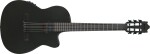 Ibanez GA621-BOT