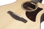 Ibanez AAM380CE Natural