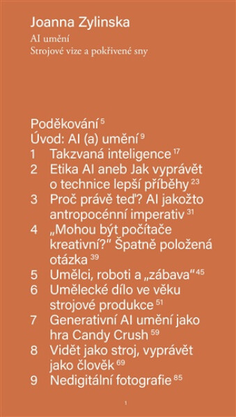 AI umění - Joanna Zylinska