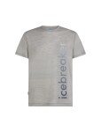 ICEBREAKER Mens Mer 125 Cool-Lite Sphe SS Tee IB Vert, Metro Hthr velikost: XXL
