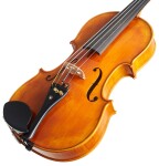 Violin Schönbach Golden
