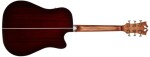 D'Angelico Premier Bowery Trans Black Cherry Burst