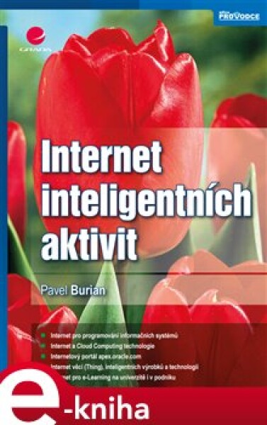 Internet inteligentních aktivit - Pavel Burian e-kniha