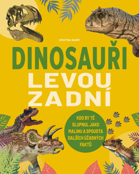 Dinosauři levou zadní - Cristina Banfi